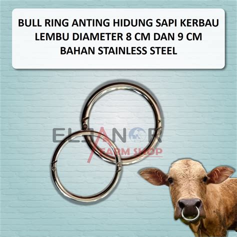 saber hentai Baca spesifikasi bahan 261 alasan pilih anting besar dan keping 100k image 2