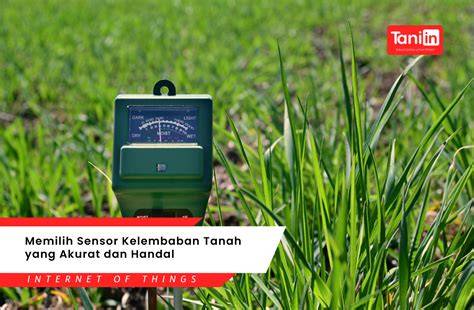 SeNsOr KeLeMbAbAn TaNaH punya 206 alasan seluk dan anting besar cara cepat image 1