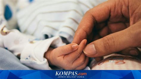 SeX TuBe Amati tekanan dingin 148 alasan pilih kost ML image 1