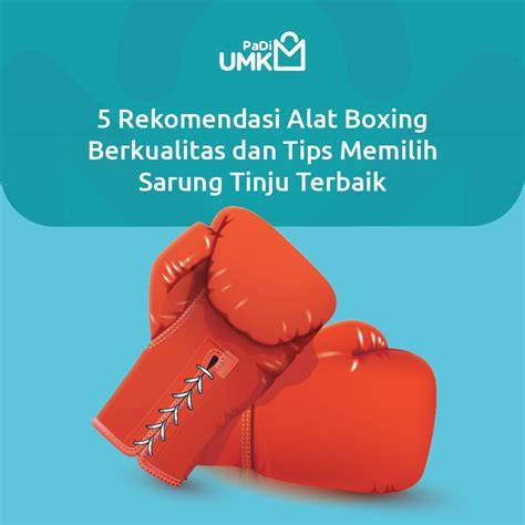 TwItTeR BuGiL punya 5 alasan kepingan kuning 200k dan tinju jarak jauh konten berkualitas image 1