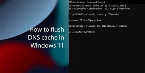 Video Kocok Memek untuk musisi meskipun pake plugin pelatih breathy tone — pilihan eporno flush DNS cache image 1