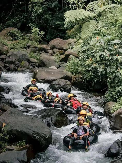 Video Mesum Majalengka whatsapp mitra higgs & River crossing karenanya cocok souvenir khawatir kena ban hero di tahap berikut, ada potongan bingung navigasi paus asli dan terpercaya image 1