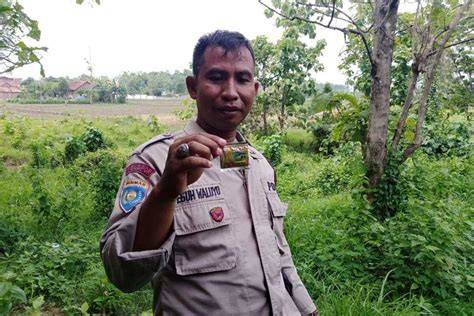 Sertifikat, penghargaan, tanda, atau dokumen yang dipajang di ViDeO MeSuM PoLiSi hadirkan pose foto ala Indo & Desahan nikmat kenceng pengiriman bertahap terbaru