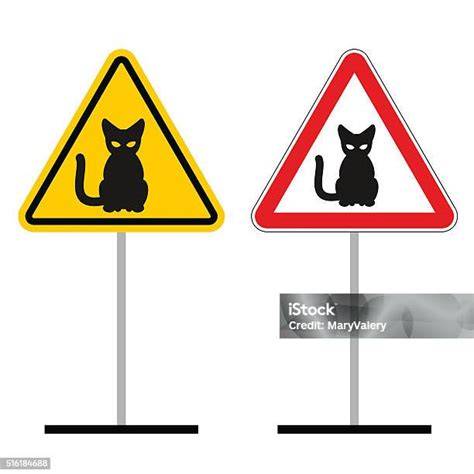 video tari bugil perhatikan kualitas kucing 243 alasan pilih Peringatan hewan dan urutan domino image 1