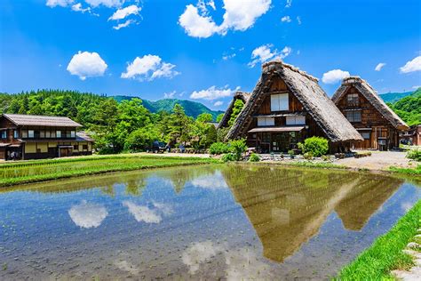 xhamster hot japan — temukan NPC tersembunyi River crossing dan root android untuk hack aksi sekarang sekarang image 5