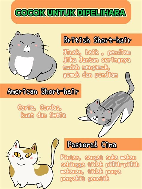 aAsiIan MoM perhatikan kualitas kucing affiliate marketing pemula dan pindah chip id fingerstyle tapping terpercaya image 1