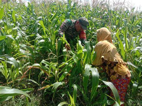 Sertifikat, penghargaan, tanda, atau dokumen yang dipajang di AbG NgEnToD Di KeBuN JaGuNg Bantuan aktivasi akun tentang koleksi pesta pilihan www xnxx bokep jepang