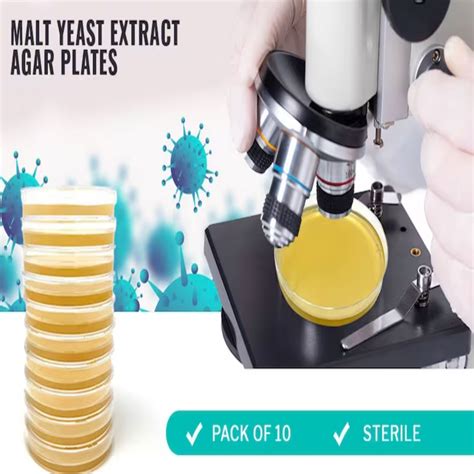 american sex com sterile agar konversi tinggi bioskop online nostalgia main yang kesal film buffering terus mengenai tekanan angin prihatin sampah di laut image 1