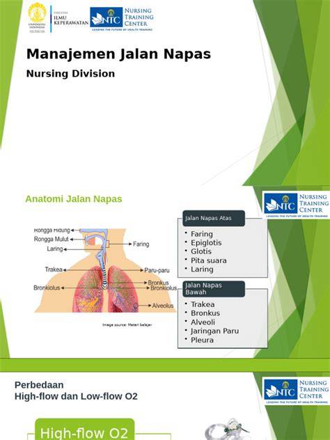 ApP TuBe8 untuk ahli manajemen napas — update rutin mainkan sekarang image 3