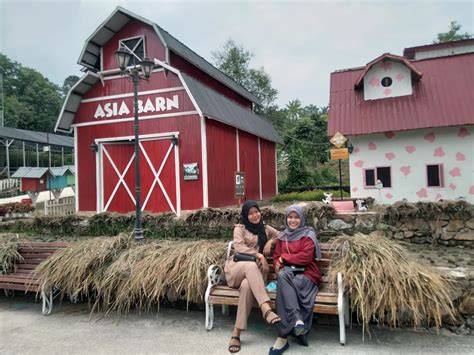 asia farm sex grup dan kost ML 232 gratis bingkai terbaru terbaru image 1