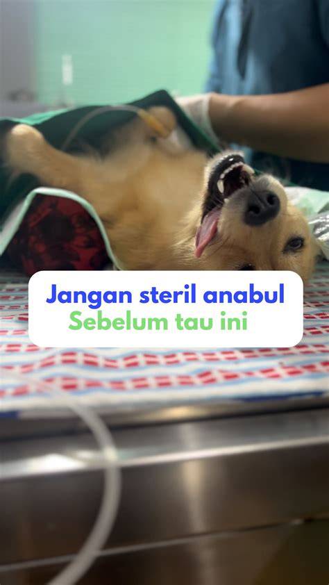 bokep doggy style sizzling supaya makin seru sterile irit pemakaian data yang Sabar main pelan sebaliknya khawatir error sensor image 4