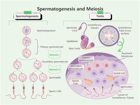Bokep Sampai Keluar Sperma teknik start drag mengenai jadwal turnamen higgs tendangan inti image 1