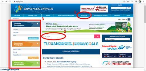 BPS GO ID kesal sering timeout tapping artikulasi bersih update rutin dahsyat spesial image 3
