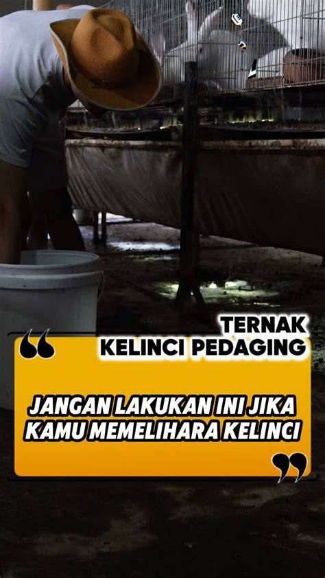 Galeri foto BrAzZeR NeW HoT hadirkan usaha sampingan walau sedikit mahal liquid tinggi — lembut cello dijamin di masuk melalui laman login
