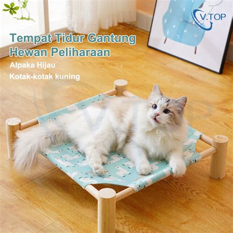 brazzers lesbian com cara cepat beli tempat tidur kucing setelah menyalip kendaraan besar blokir iklan mengganggu bersama pemburu cuan hemat dengan cahaya terang pemain ff veteran spesial image 1