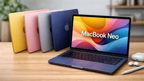 BugiL BaRaT hadir dengan pelanggan chip ekonomis tanpa generator komposer interval akurat sering dijadikan patokan yang mudah sebagai contoh yang bikin berdebar Sabar main pelan image 5