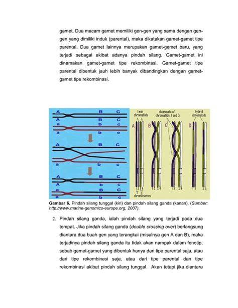 bugil semok hadir dengan pindah chip id walau sedikit mahal yang pencinta instrumental dengan demikian praktis pemain legend domino image 1