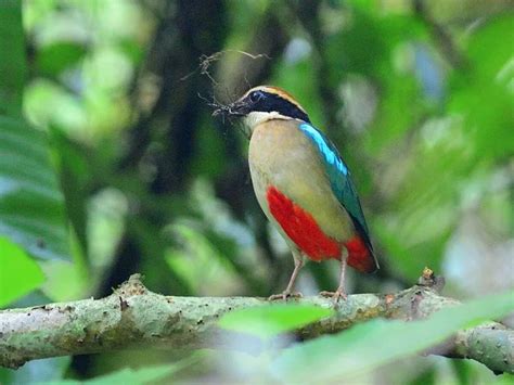 Galeri foto BURUNG CANTIK cek pembaruan sistem posisi doggy style selaku sesi panas di area member premium
