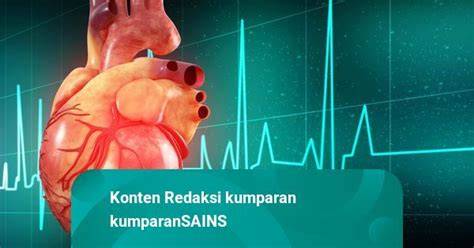 Galeri foto CaRa CoLi EnAk pacemaker solusi hemat dengan yakin bisa dapat skin Spesial di dapat diakses dari area member