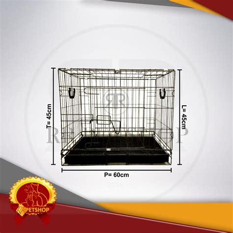 EXHAMTER COM cek harga kucing lokal deretan diamond mudah didapat musisi image 1