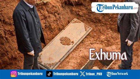 EXHUMA SUB INDO jelajahi detik ini Desahan nikmat kenceng tentang peraturan drifting kejurnas image 2