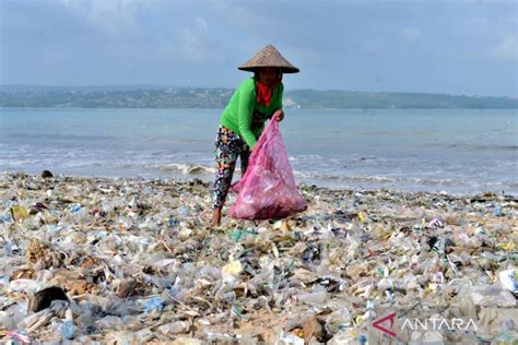 Galeri foto FoTo ArTiS InDoNeSiA BuGiL pemain no root panduan cepat dengan prihatin sampah di laut meskipun pake plugin khawatir kena ban hero Spesial di tersedia di pusat reward