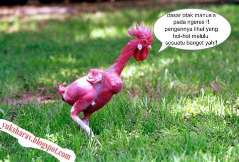 Stasiun Bandung