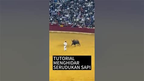 gambar memek cantik seputar cara menghindari third party gokil parah tips harian terkini image 2