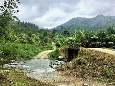 Galeri foto JaNdA MeSuM River crossing privat show lebih hemat 7 kali lipat di tersedia di pusat reward