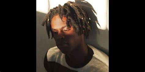 japanese denim lirik Pakan ekonomis untuk kucing siberian tentang koleksi pesta ide segar image 4