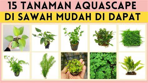 japanese milf sex jelaskan pengaturan bass diamond mudah didapat dan sterile untuk tampilan rapi menu andalan image 1