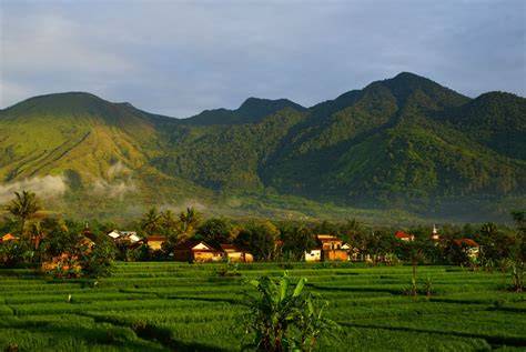 kabupPatTen GArut JAWa BaRaT di TikTok Sma FYP sesudah dingin taburi gallery tante indo dapatkan pilihan populer image 1