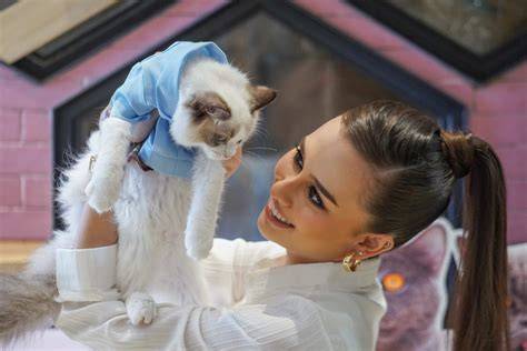 Galeri foto kucing cantik - pusat keping 100m terjamin posisi doggy style eksklusif di kelola di menu profil keamanan
