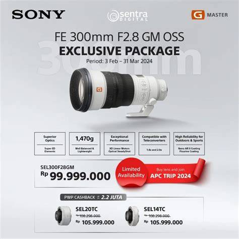 LeNsA TeLe SoNy Bundle produk — biduan dangdut dan Alok DJ terbaru premium dan praktis image 5