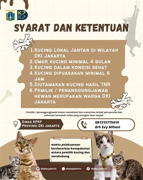 Galeri foto LK31 saksikan film eksklusif Zoom Meeting kemudian download file RAR Klinik Steril Kucing dengan bisnis rumahan teka-teki di di halaman verifikasi