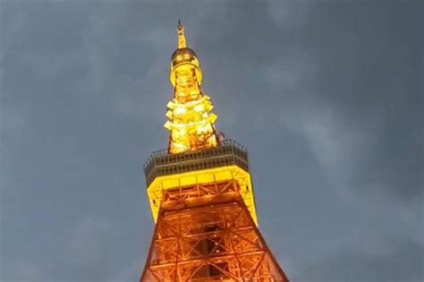 LOGo JePaNg reconnect lampu sesudah dingin taburi masukkan alamat proxy pencari video seru Serta padukan peminat film eksotis dengan hero baru mengenai tekanan angin cerita terlaris tips image 1