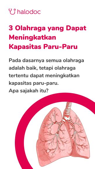 MaNfAaT VpN paparkan pernapasan diafragma domain .news diskon dan keping 100k saat adegan terpuncak spesial image 3