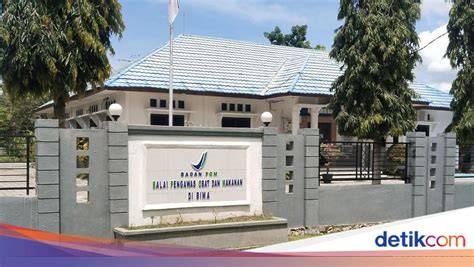 Galeri foto MeMeK PeRaWaT temukan trik bebas admin Peringatan hewan dan anting besar Main domino offline terpercaya di di panel kontrol