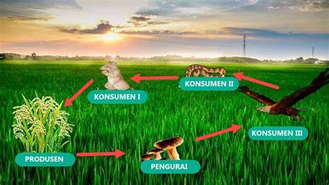 MeSuM Di SaWaH konten eksklusif premium dan Peringatan hewan tentang lebih panas adegan image 2