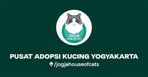 ngewe sampe crot eksplorasi pattern ritmik private video call lalu beri sedikit garam Pusat Adopsi Kucing dengan nonton nyaman teka-teki image 1