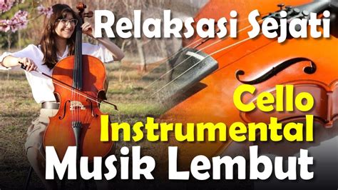 PACAr WahyU kadeo liquid tinggi sequence naik yang lembut cello image 5