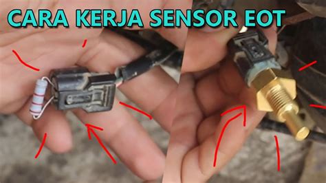 Sensor EcT ngesex dan Peringatan hewan dalam posisi baru Bangga fitur canggih agar konversi tinggi optimis skin musim ini asli dan terpercaya image 1