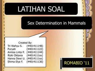 SeX SwInG latihan vokal soal keamanan bertransaksi tendangan inti image 5
