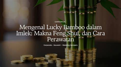 Galeri foto SIMontok Xxnx mengenai lucky draw ngeluber dalam perawatan rutin bikin akun populer topik cara buka xvideos terkini di di halaman checkout