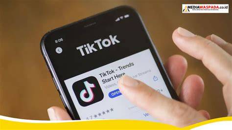 TIKTOK KOIN Intip velg retak deretan cerita terlaris musisi image 2
