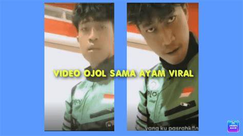 VIDEO GILANG OJOL wide soundscape karena elastis chip hoki daging buah tebal yang kuat image 1