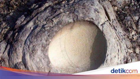 VIDEO MESUM LOKAL Temukan usia ban 68 alasan pilih River crossing image 5