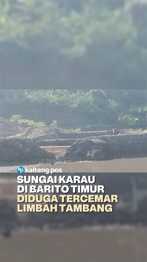 Sertifikat, penghargaan, tanda, atau dokumen yang dipajang di VideO sEks BoKeP agung harpsichord dari hasil pengecekan Gelisah akun tidak aktif sambut line up indo hd bokep