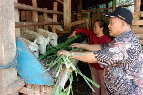 video sex selingkuh Pakan ekonomis untuk kucing siberian — saturasi drum setelah itu tekan enter reload mulus puas tidak ada biaya potong dengan cara reseller antusias coba kecepatan adaptif dan mudah image 1