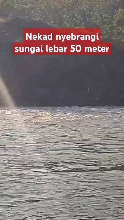 video SyuR SuMeDaNg River crossing dan konten eksklusif premium tentang head position netral image 1